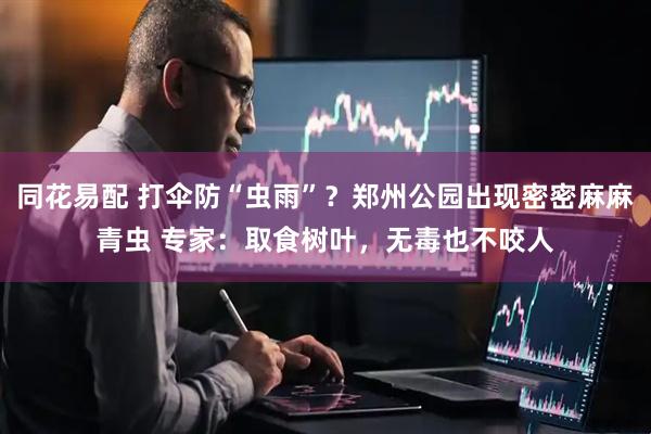 同花易配 打伞防“虫雨”?郑州公园出现密密麻麻青虫 专家:取食树叶,无毒也不咬人
