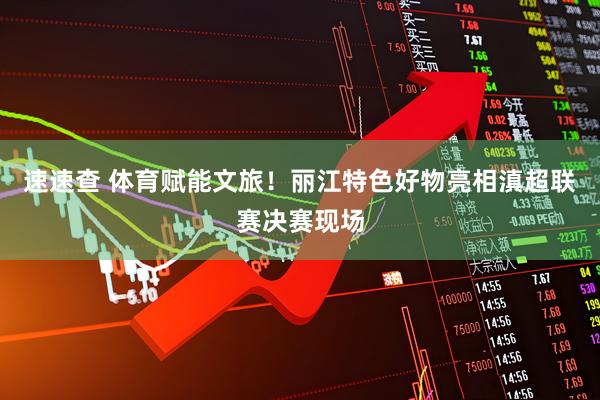 速速查 体育赋能文旅!丽江特色好物亮相滇超联赛决赛现场